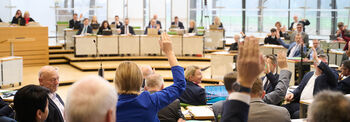 Abstimmung im Plenum