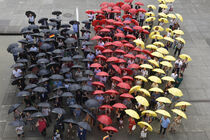 Eingebürgerte bilden mit farbigen Schirmen eine Deustchlandfahne