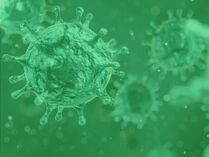 Covid-Virus in grün
